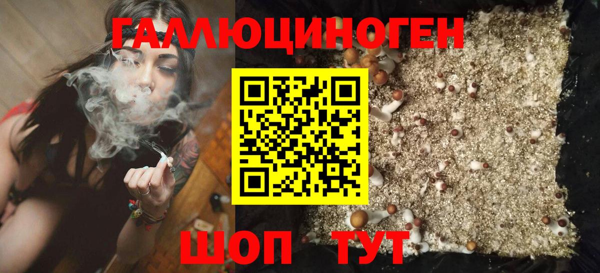 Галлюциногенные грибы мухоморы Чебоксары
