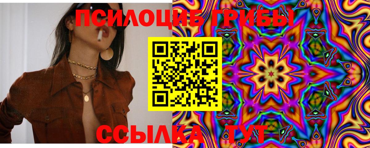 Чебоксары  Псилоцибиновые грибы мухоморы  Вход с VPN 